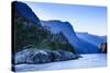 Early Morning Light in Milford Sound-Michael-Stretched Canvas