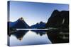 Early Morning Light in Milford Sound-Michael-Stretched Canvas