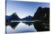 Early Morning Light in Milford Sound-Michael-Stretched Canvas