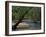 Early Morning Light on Bull Creek, Missouri, USA-Gayle Harper-Framed Premium Photographic Print