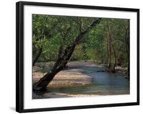 Early Morning Light on Bull Creek, Missouri, USA-Gayle Harper-Framed Photographic Print
