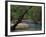 Early Morning Light on Bull Creek, Missouri, USA-Gayle Harper-Framed Photographic Print