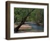 Early Morning Light on Bull Creek, Missouri, USA-Gayle Harper-Framed Photographic Print