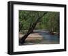 Early Morning Light on Bull Creek, Missouri, USA-Gayle Harper-Framed Photographic Print