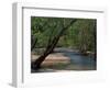 Early Morning Light on Bull Creek, Missouri, USA-Gayle Harper-Framed Photographic Print