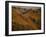 Early Morning Light on Mountains on the French Side of the Pyrenees, France, Europe-Fred Friberg-Framed Photographic Print