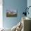 Early Morning Light-Michael Runkel-Mounted Photographic Print displayed on a wall