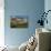 Early Morning Light-Michael Runkel-Mounted Photographic Print displayed on a wall