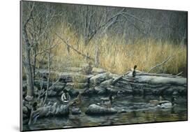 Early Morning Mallards-Jeff Tift-Mounted Giclee Print