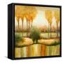 Early Morning Meadow I-Michael Marcon-Framed Stretched Canvas