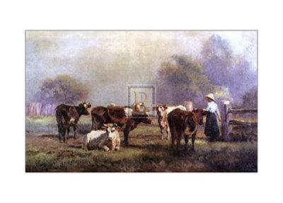 morning glory milking morning glory milking