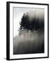 Early Morning Mist and Trees, State Highway 4 near Wanganui, North Island, New Zealand-David Wall-Framed Photographic Print