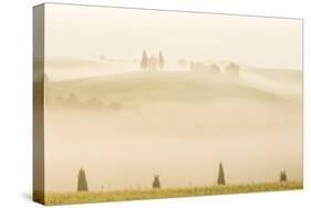 Early Morning Mist, Cappella Di Vitaleta, Chapel, Val D'Orcia, Tuscany, Italy-Peter Adams-Stretched Canvas