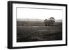 Early Morning Mist I-Alan Hausenflock-Framed Premium Photographic Print