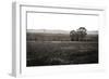 Early Morning Mist I-Alan Hausenflock-Framed Premium Photographic Print