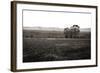 Early Morning Mist I-Alan Hausenflock-Framed Photographic Print