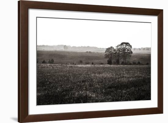 Early Morning Mist I-Alan Hausenflock-Framed Photographic Print