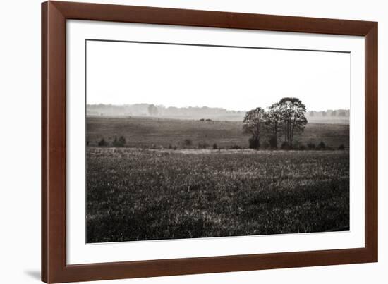 Early Morning Mist I-Alan Hausenflock-Framed Photographic Print