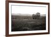 Early Morning Mist I-Alan Hausenflock-Framed Photographic Print