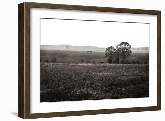 Early Morning Mist I-Alan Hausenflock-Framed Photographic Print