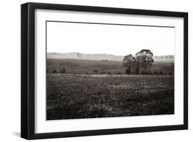 Early Morning Mist I-Alan Hausenflock-Framed Photographic Print