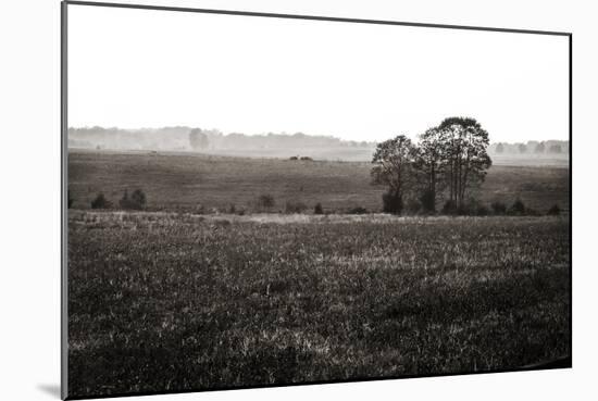 Early Morning Mist I-Alan Hausenflock-Mounted Photographic Print