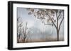 Early Morning Mist I-John Seba-Framed Art Print