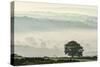 Early morning mist in the Esk Valley around Lealholm in the North Yorkshire Moors National Park-John Potter-Stretched Canvas