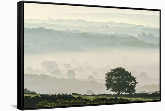 Early morning mist in the Esk Valley around Lealholm in the North Yorkshire Moors National Park-John Potter-Framed Stretched Canvas