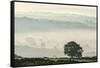 Early morning mist in the Esk Valley around Lealholm in the North Yorkshire Moors National Park-John Potter-Framed Stretched Canvas