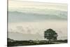 Early morning mist in the Esk Valley around Lealholm in the North Yorkshire Moors National Park-John Potter-Stretched Canvas