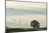 Early morning mist in the Esk Valley around Lealholm in the North Yorkshire Moors National Park-John Potter-Mounted Photographic Print