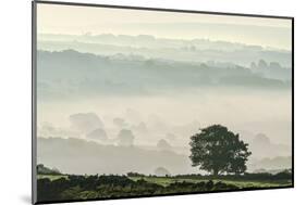 Early morning mist in the Esk Valley around Lealholm in the North Yorkshire Moors National Park-John Potter-Mounted Photographic Print