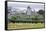 Early Morning Mist in the Valleys Surrounds St. David's Church-Graham Lawrence-Framed Stretched Canvas