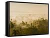 Early Morning Mist on the Kedu Plain at Sunrise from the Borobudur Temple, Java, Indonesia-Matthew Williams-Ellis-Framed Stretched Canvas