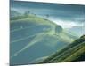 Early Morning Mist over Tea Plantations, Near Munnar, Kerala, India, Asia-Stuart Black-Mounted Photographic Print