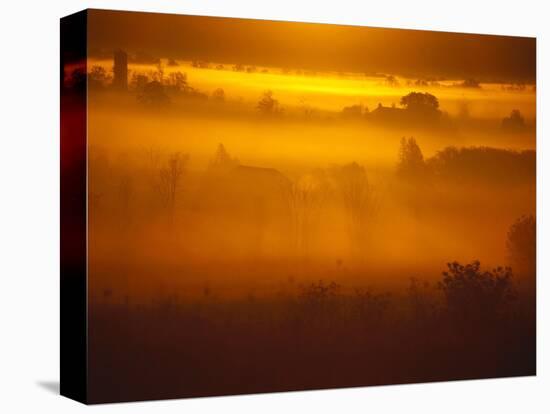 Early Morning Mist-Jim Craigmyle-Stretched Canvas