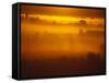 Early Morning Mist-Jim Craigmyle-Framed Stretched Canvas