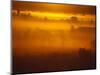 Early Morning Mist-Jim Craigmyle-Mounted Photographic Print