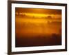 Early Morning Mist-Jim Craigmyle-Framed Photographic Print