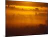 Early Morning Mist-Jim Craigmyle-Mounted Photographic Print