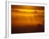 Early Morning Mist-Jim Craigmyle-Framed Photographic Print