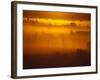 Early Morning Mist-Jim Craigmyle-Framed Photographic Print