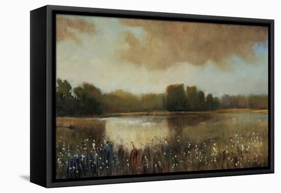 Early Morning Mist-Tim O'toole-Framed Stretched Canvas