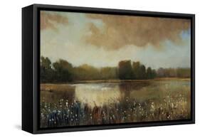 Early Morning Mist-Tim O'toole-Framed Stretched Canvas