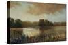 Early Morning Mist-Tim O'toole-Stretched Canvas