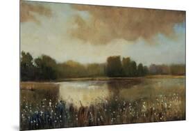 Early Morning Mist-Tim O'toole-Mounted Giclee Print