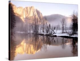 Early Morning Misty Colors in the Valley, Yosemite, California, USA-Tom Norring-Stretched Canvas