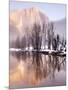 Early Morning Misty Colors in the Valley, Yosemite, California, USA-Tom Norring-Mounted Photographic Print