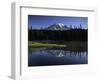 Early Morning Mt Rainier, Mt Rainier National Park, Washington-Jerry Ginsberg-Framed Photographic Print